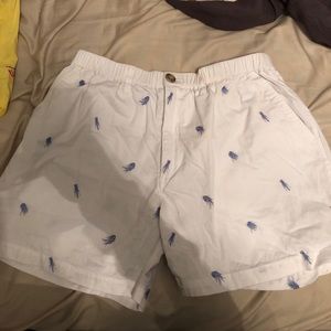 Men’s jellyfish chubbies shorts